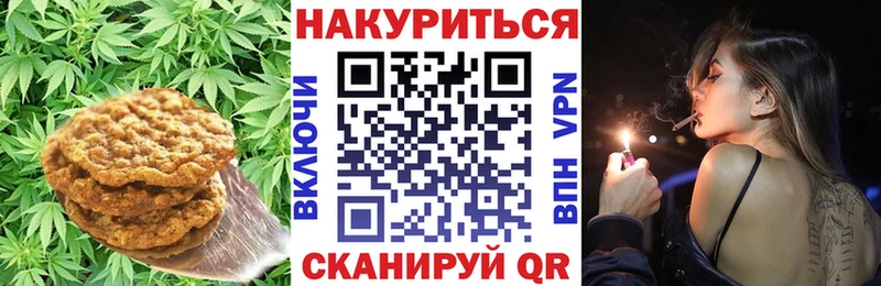 Canna-Cookies марихуана  Щёлково 